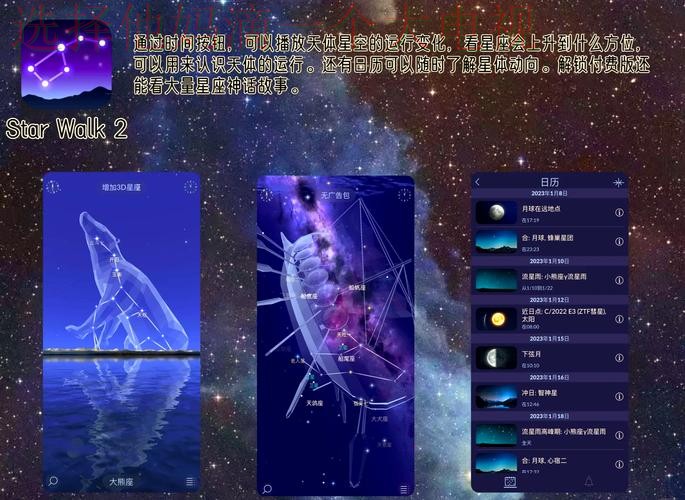 免费下载体验：星空娱乐APP安卓版魅力无限