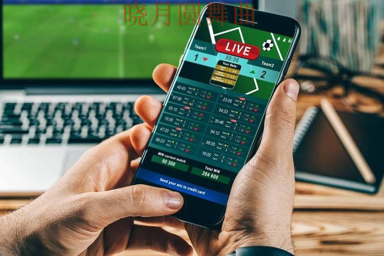 世界杯投注app哪个好用更适合新手，老玩家都在研究