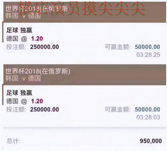 世界杯投注平台合集揭秘：聚焦直播入口与赛事直播体验 - 世界杯官方信息